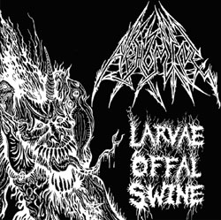 abhomine-larvae ABHOMINE (USA) - Larvae Offal Swine, CD